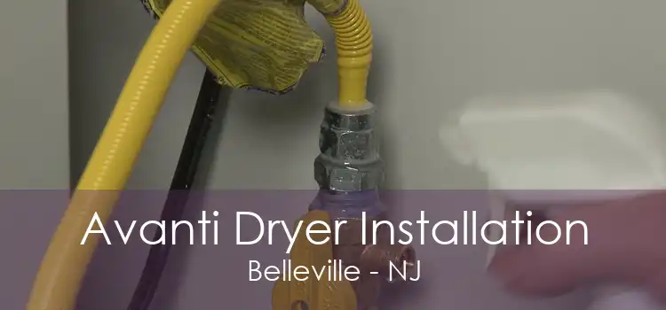 Avanti Dryer Installation Belleville - NJ