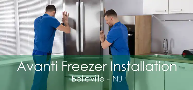 Avanti Freezer Installation Belleville - NJ