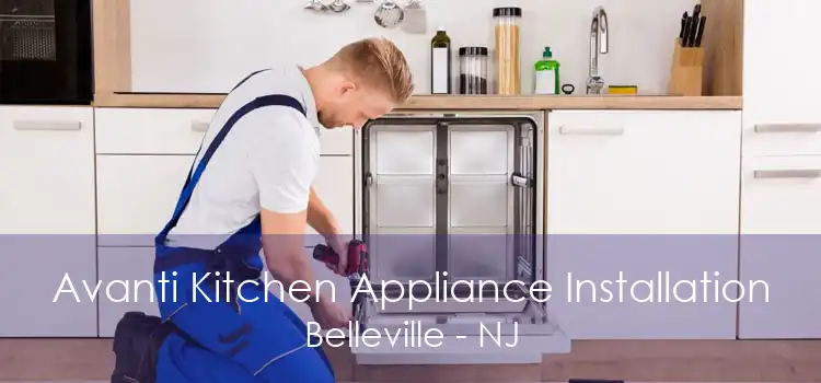 Avanti Kitchen Appliance Installation Belleville - NJ