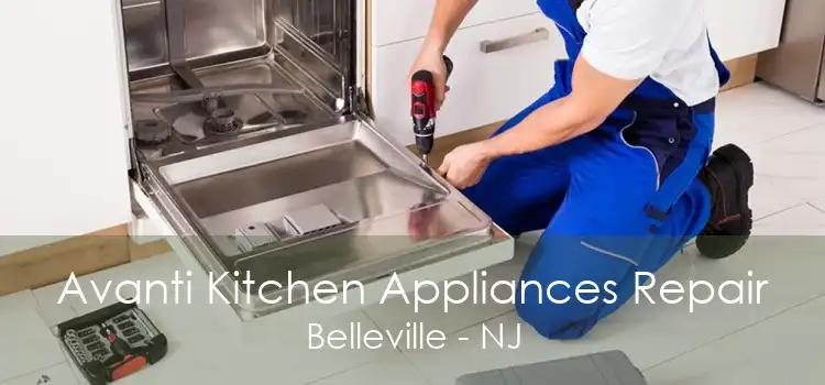 Avanti Kitchen Appliances Repair Belleville - NJ