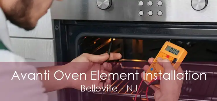 Avanti Oven Element Installation Belleville - NJ