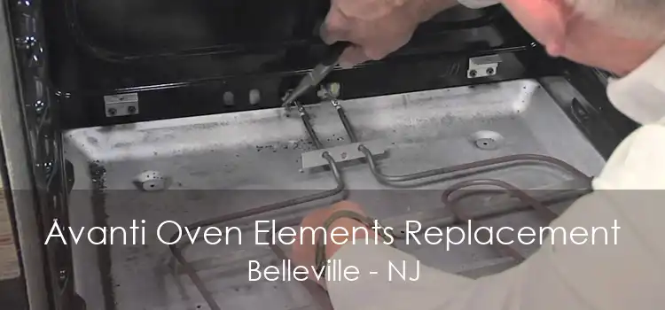 Avanti Oven Elements Replacement Belleville - NJ