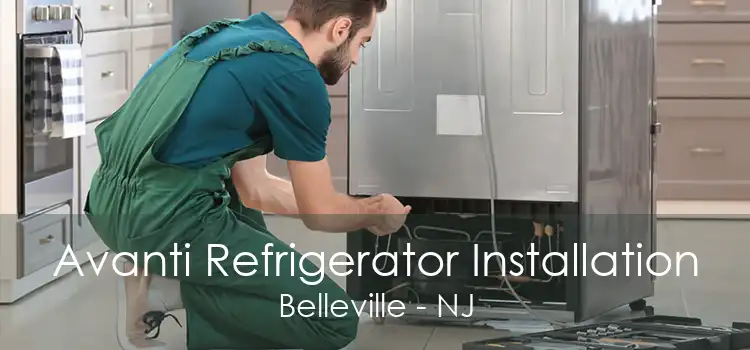 Avanti Refrigerator Installation Belleville - NJ