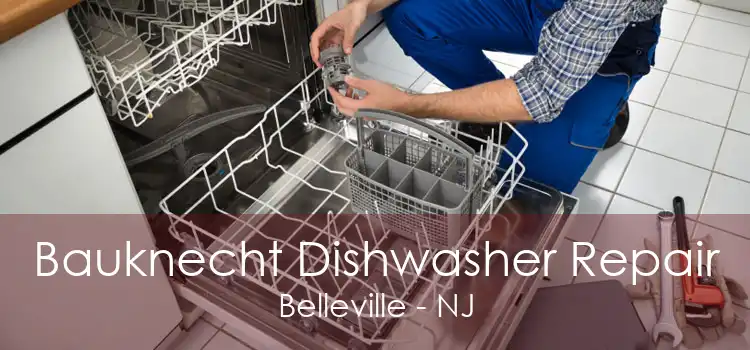 Bauknecht Dishwasher Repair Belleville - NJ