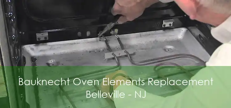 Bauknecht Oven Elements Replacement Belleville - NJ