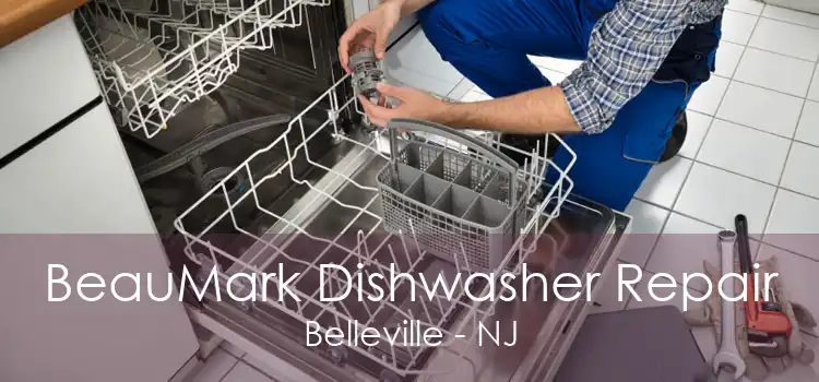 BeauMark Dishwasher Repair Belleville - NJ