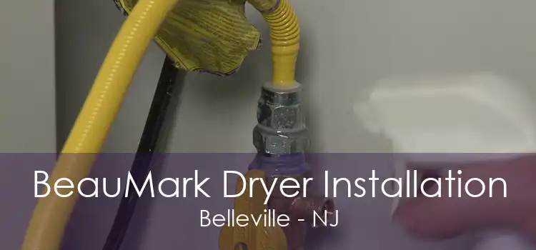 BeauMark Dryer Installation Belleville - NJ