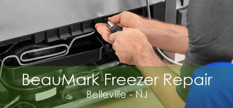 BeauMark Freezer Repair Belleville - NJ