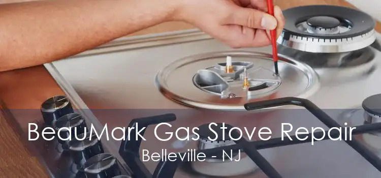 BeauMark Gas Stove Repair Belleville - NJ