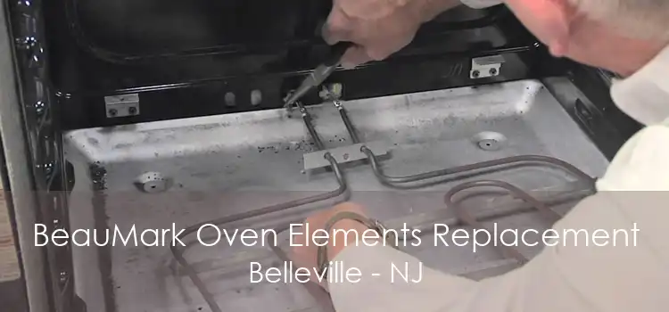 BeauMark Oven Elements Replacement Belleville - NJ