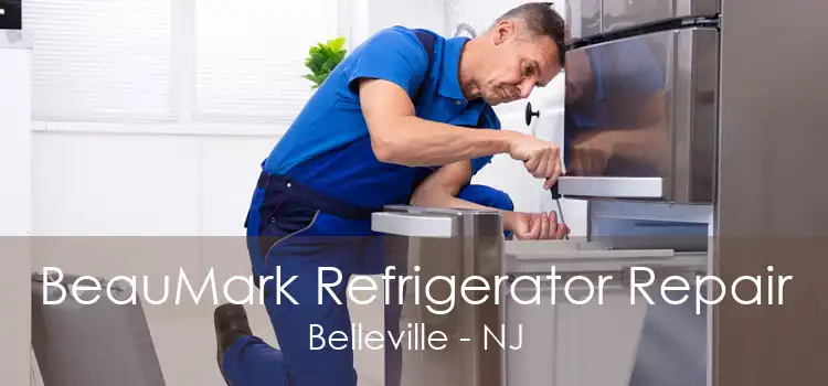 BeauMark Refrigerator Repair Belleville - NJ