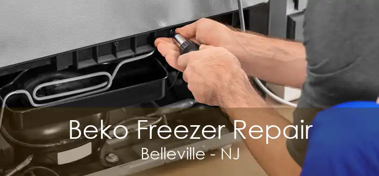 Beko Freezer Repair Belleville - NJ