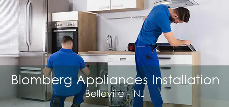 Blomberg Appliances Installation Belleville - NJ