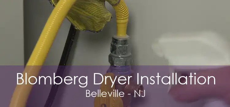 Blomberg Dryer Installation Belleville - NJ