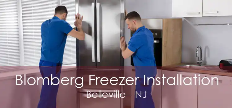 Blomberg Freezer Installation Belleville - NJ