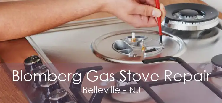 Blomberg Gas Stove Repair Belleville - NJ