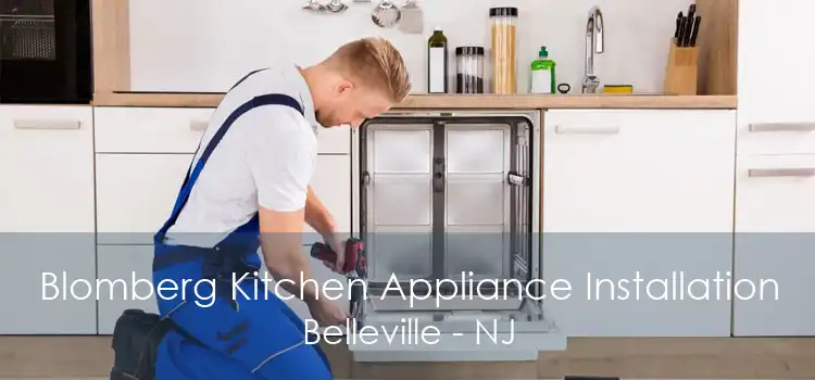 Blomberg Kitchen Appliance Installation Belleville - NJ