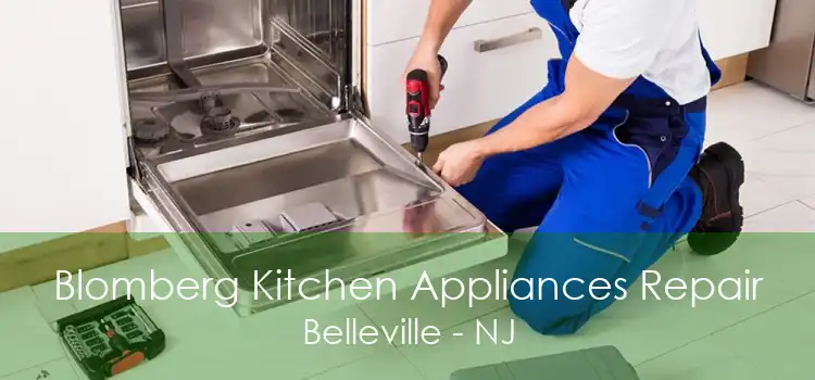 Blomberg Kitchen Appliances Repair Belleville - NJ