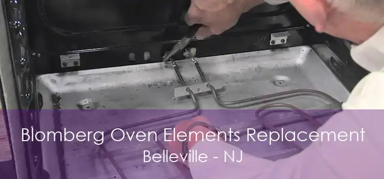 Blomberg Oven Elements Replacement Belleville - NJ