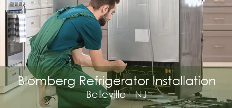 Blomberg Refrigerator Installation Belleville - NJ