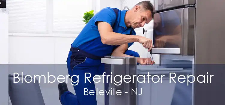 Blomberg Refrigerator Repair Belleville - NJ