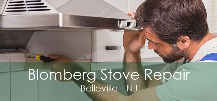 Blomberg Stove Repair Belleville - NJ