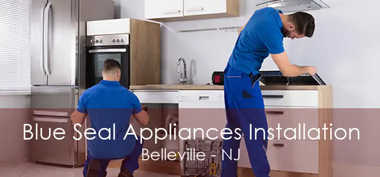 Blue Seal Appliances Installation Belleville - NJ