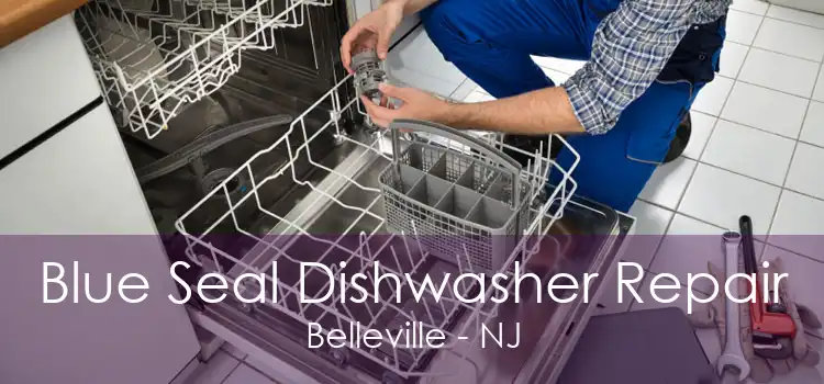 Blue Seal Dishwasher Repair Belleville - NJ