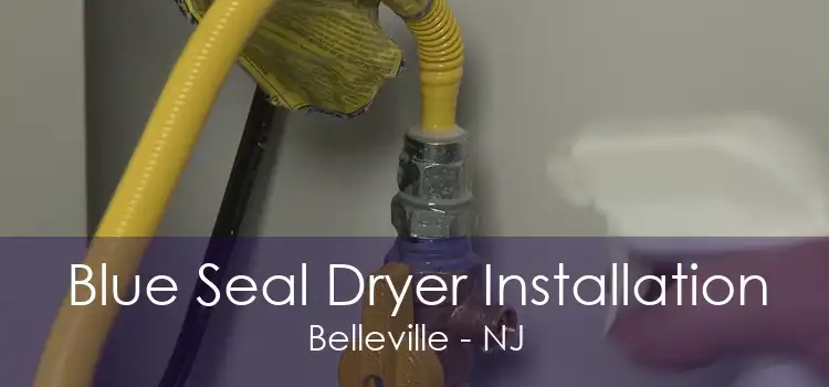 Blue Seal Dryer Installation Belleville - NJ