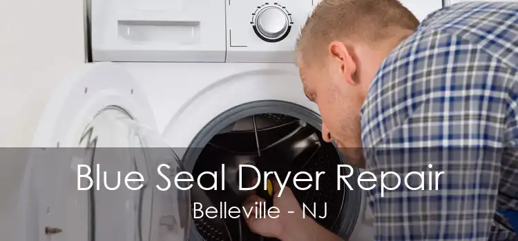 Blue Seal Dryer Repair Belleville - NJ