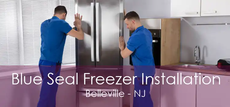 Blue Seal Freezer Installation Belleville - NJ