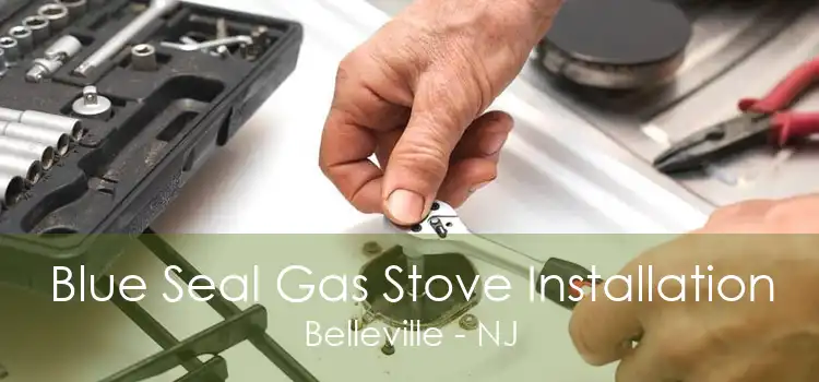 Blue Seal Gas Stove Installation Belleville - NJ