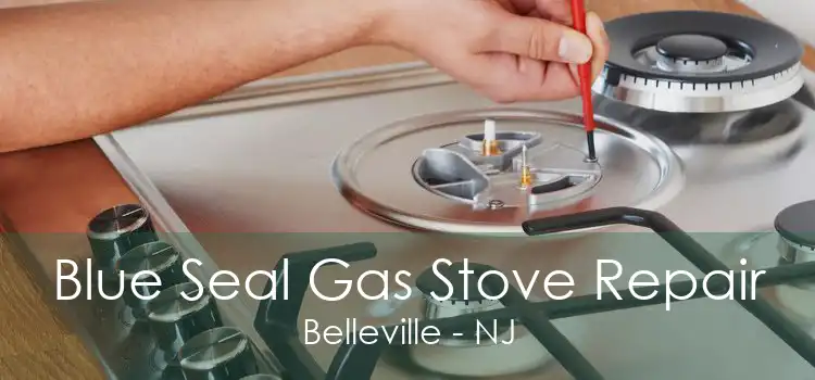 Blue Seal Gas Stove Repair Belleville - NJ