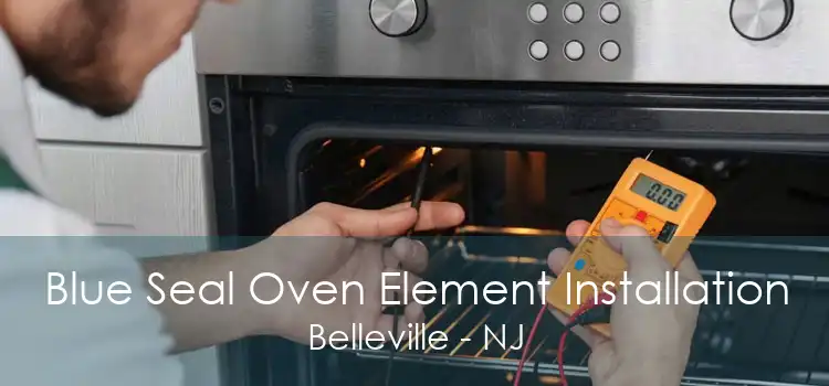 Blue Seal Oven Element Installation Belleville - NJ