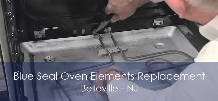 Blue Seal Oven Elements Replacement Belleville - NJ