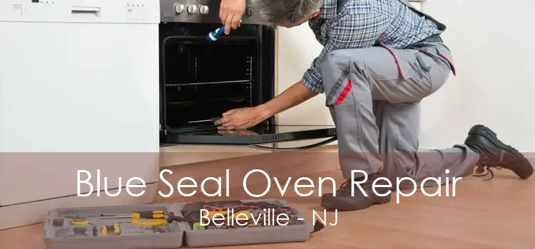 Blue Seal Oven Repair Belleville - NJ