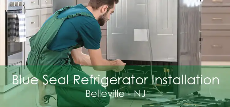 Blue Seal Refrigerator Installation Belleville - NJ