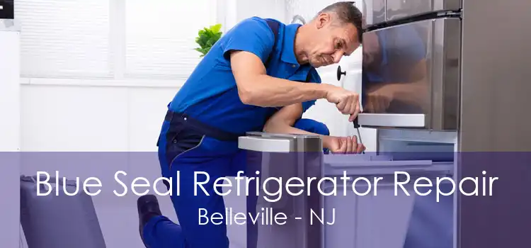 Blue Seal Refrigerator Repair Belleville - NJ