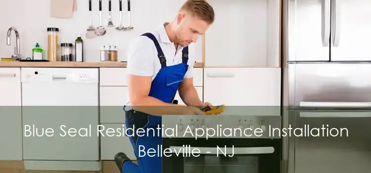 Blue Seal Residential Appliance Installation Belleville - NJ