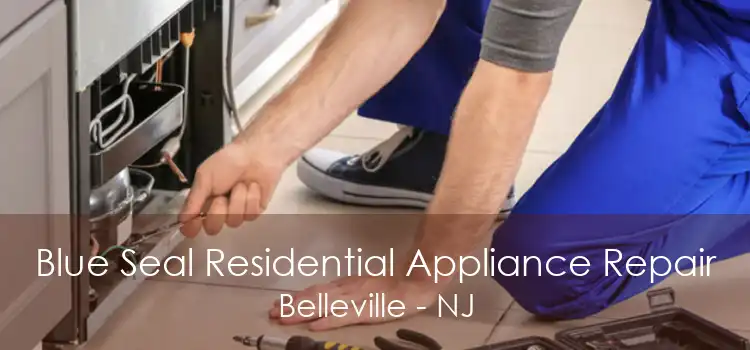 Blue Seal Residential Appliance Repair Belleville - NJ