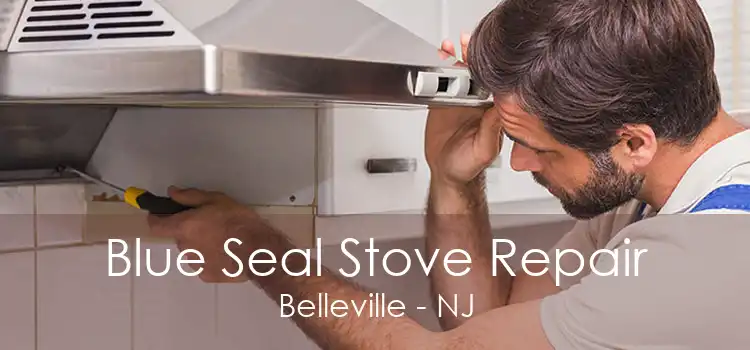 Blue Seal Stove Repair Belleville - NJ