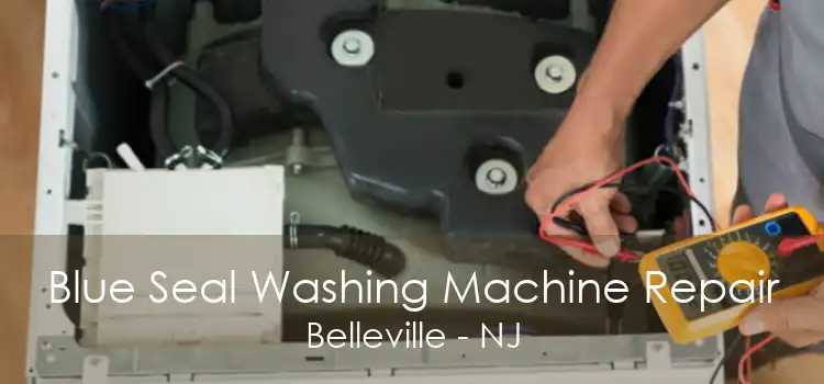 Blue Seal Washing Machine Repair Belleville - NJ