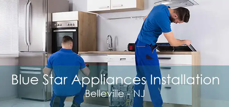 Blue Star Appliances Installation Belleville - NJ