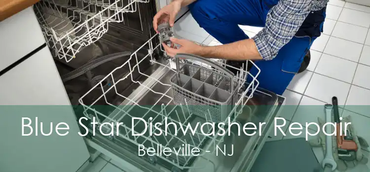 Blue Star Dishwasher Repair Belleville - NJ