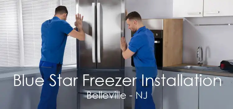 Blue Star Freezer Installation Belleville - NJ