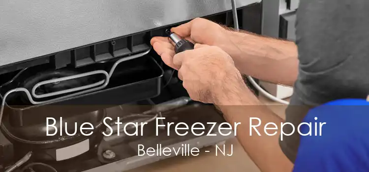 Blue Star Freezer Repair Belleville - NJ