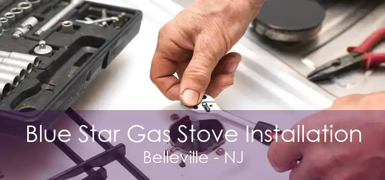 Blue Star Gas Stove Installation Belleville - NJ