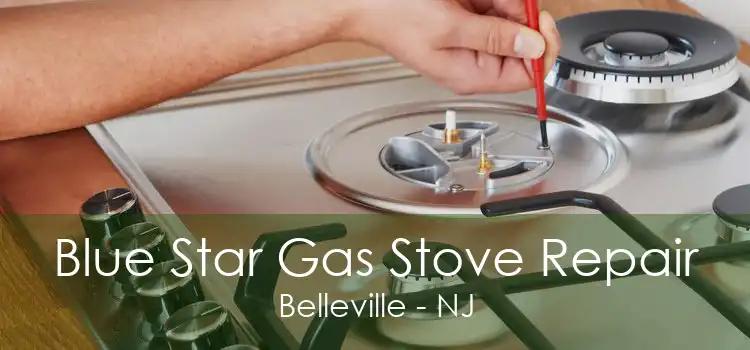 Blue Star Gas Stove Repair Belleville - NJ