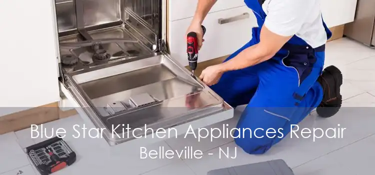 Blue Star Kitchen Appliances Repair Belleville - NJ