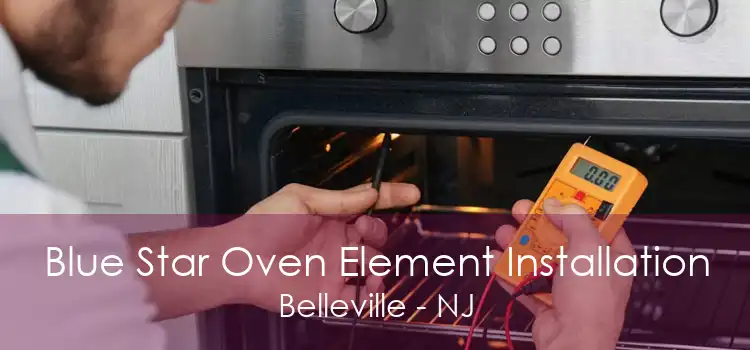 Blue Star Oven Element Installation Belleville - NJ